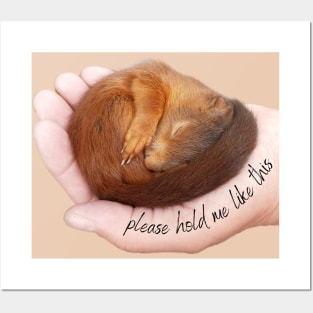 Please hold me like a cute sleeping baby squirrel Posters and Art